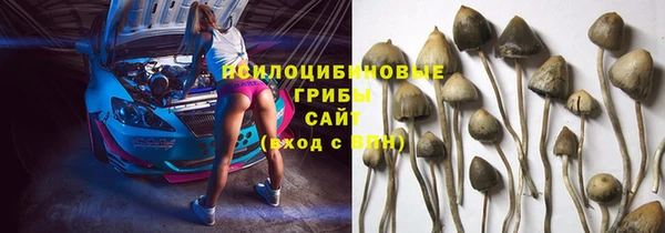 spice Абинск