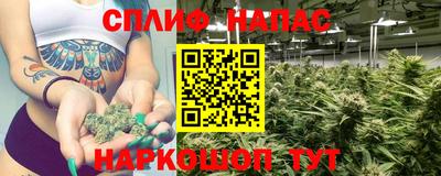 ПСИЛОЦИБИНОВЫЕ ГРИБЫ Краснодар