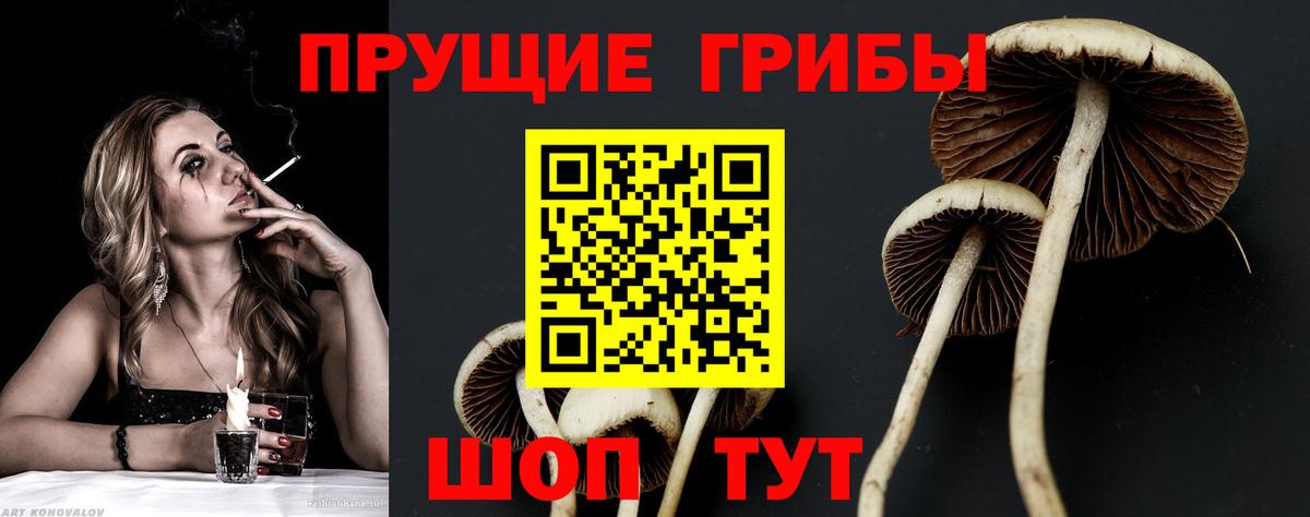 Галлюциногенные грибы MAGIC MUSHROOMS Каменск-Шахтинский
